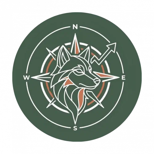 Compass with wise wolf consulting in the middle creating a clear marketing direction for the ai seo agency services